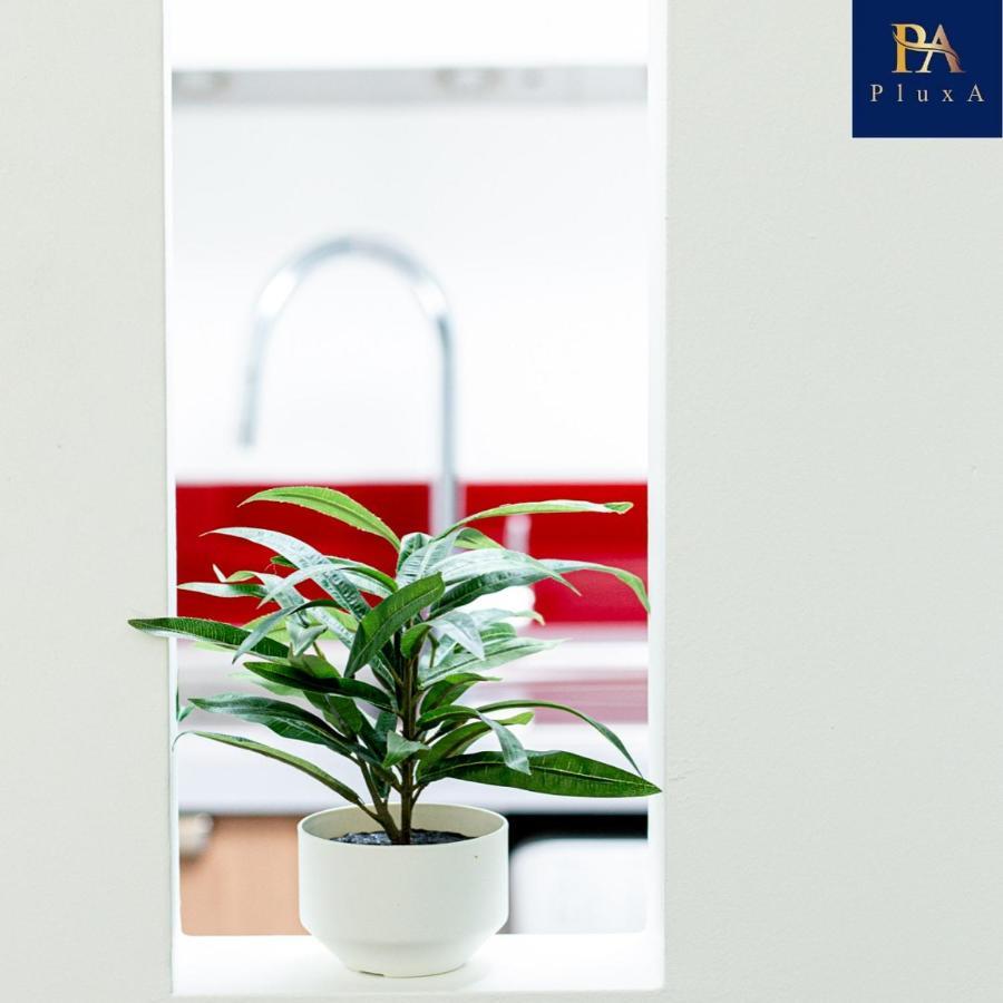 Pluxa Vivid Veranda Beautiful City Centre Apartment With Free Parking Бирмингем Экстерьер фото